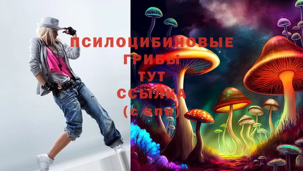 гидропоника Белокуриха