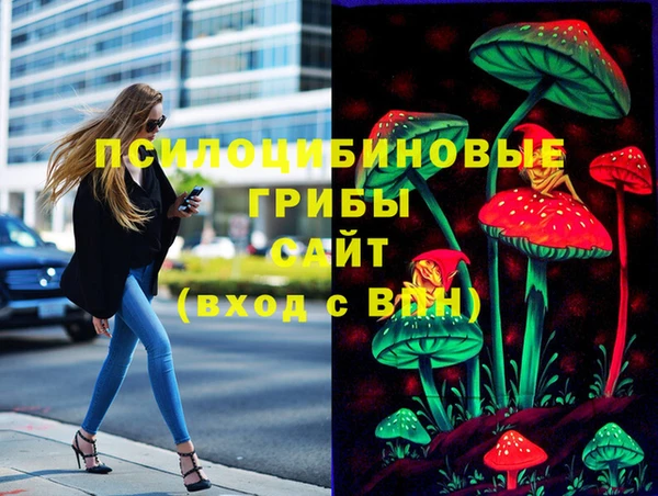 гидропоника Белокуриха