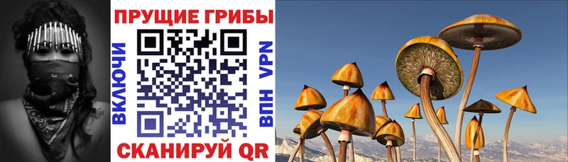 KRAKEN как зайти  даркнет состав  Галлюциногенные грибы мухоморы  Теберда 