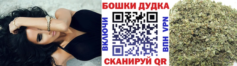 Бошки марихуана сатива сайты даркнета наркотические препараты Теберда купить